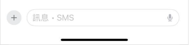 Bottom Input Section